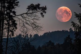 Arriva la Luna piena di settembre 2025, accompagnata da una spettacolare eclissi: quando e come osservarla?