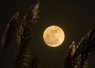 La Luna piena di marzo deciderà la data di Pasqua: ecco quando sarà e come fare il calcolo