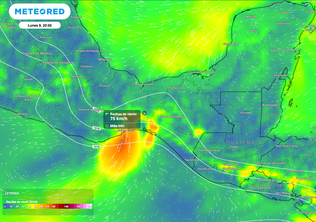 Esta fuerza del viento es capaz de derribar estructuras ligeras, por lo que las autoridades de Protección Civil mantienen la vigilancia estrecha en los puertos y las zonas urbanas vulnerables.