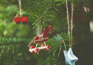 Macht der Duft von Tannennadeln wirklich gl&uuml;cklicher &ndash; und sogar ges&uuml;nder?