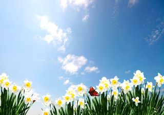 Märzsommer: Knacken wir bald schon die 25-Grad-Marke?