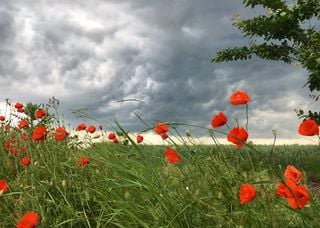 Maggio in Italia: previsioni meteo a lungo termine. E giugno? Ecco cosa ci aspetta