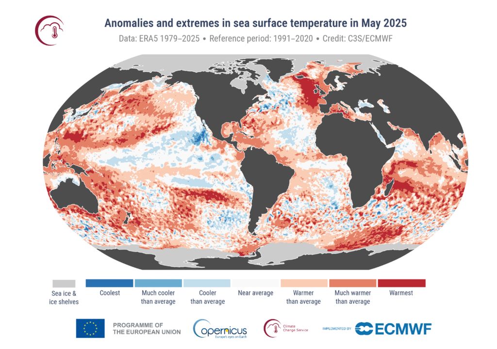 Anomalias de TSM e extremos de temperatura em maio de 2025. Créditos: ECMWF/CS3. Anomalias de TSM e extremos de temperatura em maio de 2025. Créditos: ECMWF/CS3.