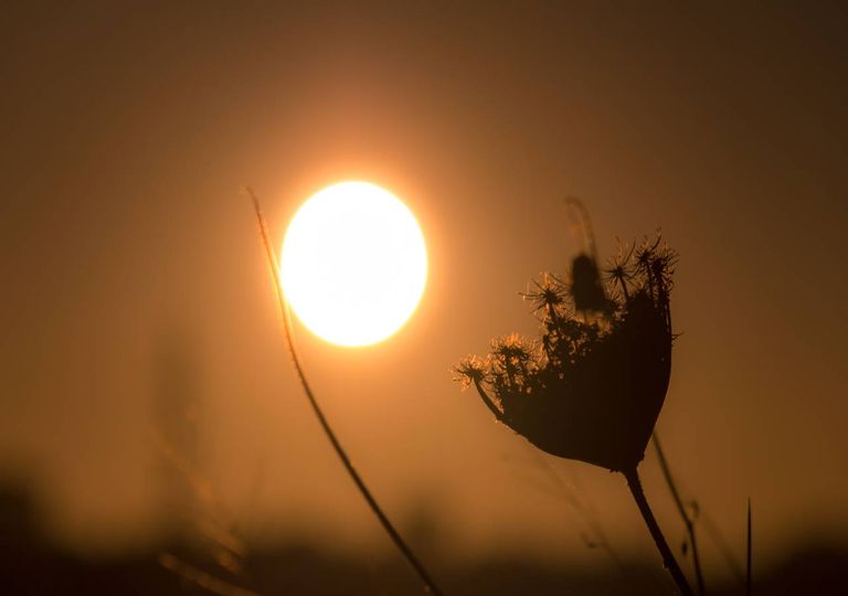 Maio foi extremamente quente em Portugal continental Maio foi extremamente quente em Portugal continental
