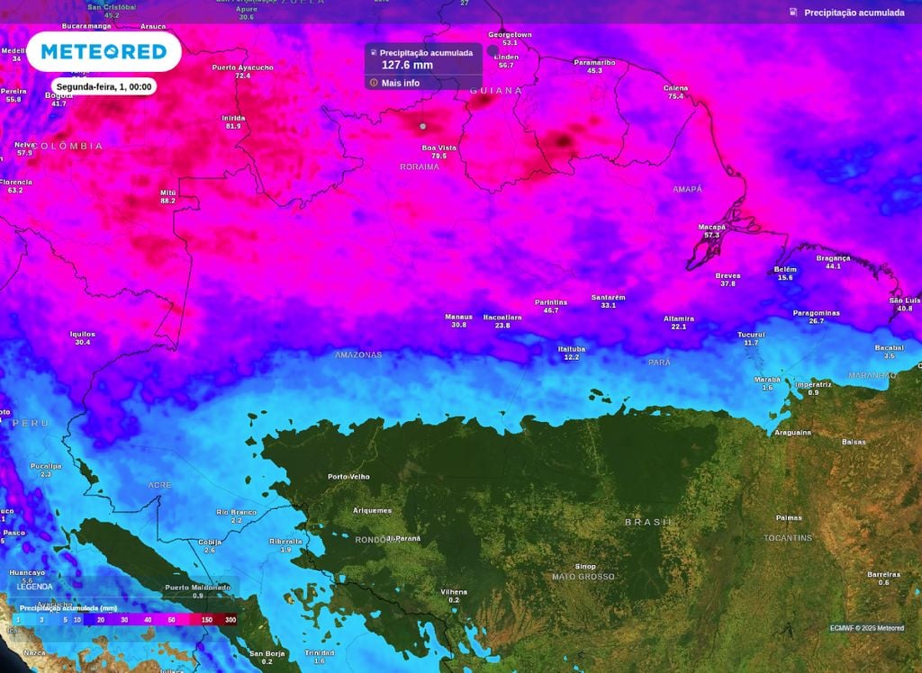 Mapa de precipitação acumulada para a Região Norte até o final de mês.
