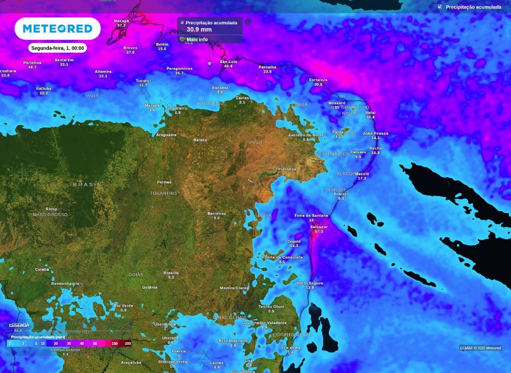 Mapa de precipitação acumulada até o domingo (31) no Nordeste do Brasil.