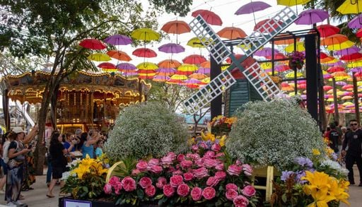 Maior exposi&ccedil;&atilde;o de flores da Am&eacute;rica Latina re&uacute;ne atra&ccedil;&otilde;es e flores incomuns em SP; veja como ir