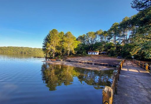 Maior que 60 Ibirapueras: São Paulo terá um novo parque para preservar a Mata Atlântica