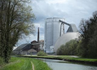 Mais d'où vient le sucre qui asphyxie des centaines de poissons en Seine-et-Marne ?