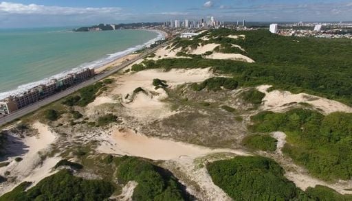 Mais de 1.000 hectares de Mata Atl&acirc;ntica sobre dunas: a floresta em Natal que protege a &aacute;gua da cidade
