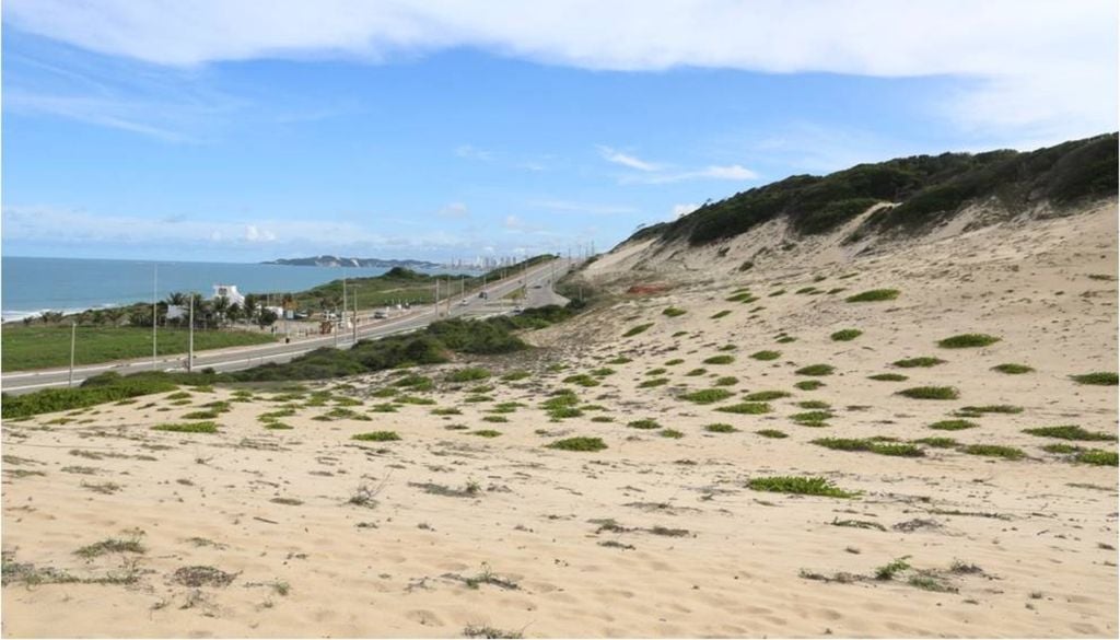 Com aproximadamente 1.172 hectares, o Parque das Dunas protege um dos mais importantes remanescentes de Mata Atlântica sobre dunas em área urbana do Brasil. Crédito: Divulgação.