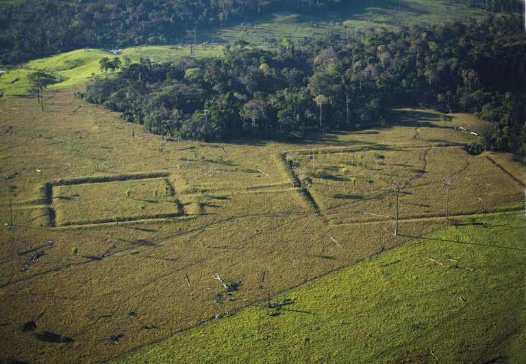 Seca deixa comunidades indígenas isoladas após vazante histórica no  as - Infoia