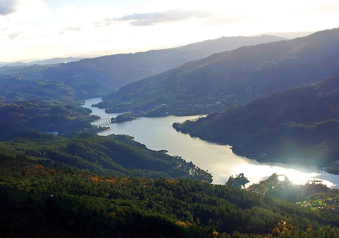 Sobreiros e carvalhos-negrais são as principais espécies autóctones selecionadas para reflorestar os baldios do Parque Nacional da Peneda Gerês Foto: Artphotography RMC 1972/CC BY-SA 4.0, via Wikimedia Commons