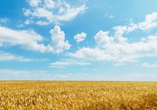 Mais dias de tempo seco e quente para boa parte do SE e do NE