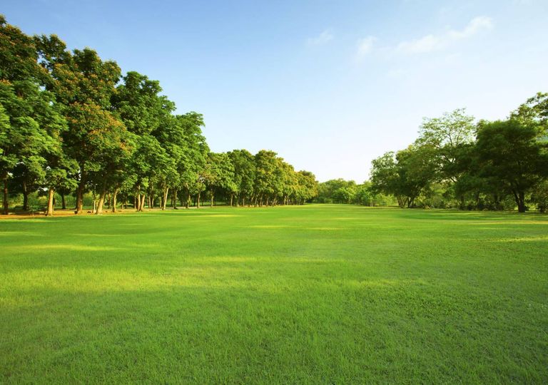 Espaços verdes Espaços verdes