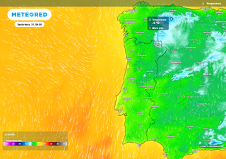 Mais frio na última madrugada de janeiro. Mapas da Meteored revelam neve, geada e -4 ºC nestas duas regiões de Portugal