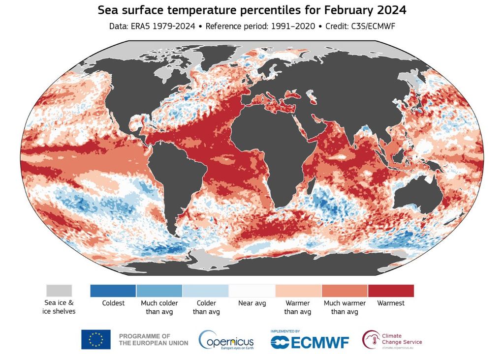 Percentil de la temperatura superficial del mar (TSM) para febrero de 2024 Percentil de la temperatura superficial del mar (TSM) para febrero de 2024