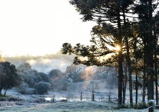 Mais uma massa de ar polar a caminho e chega no feriado prolongado!