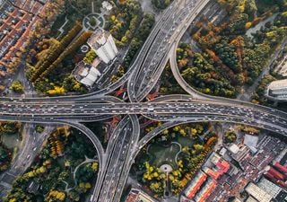 Las grandes ciudades están sobrecalentando a sus ciudadanos al no plantar más árboles