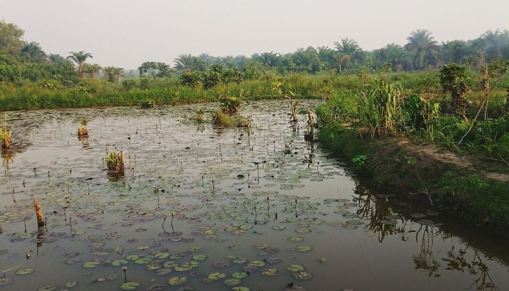Die Landschaften südlich der Sahara können den idealen Nährboden für Malaria übertragende Mücken bieten. Bild: Seth R. Irish