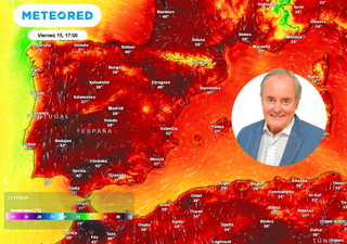 Maldonado avisa sobre el puente: 