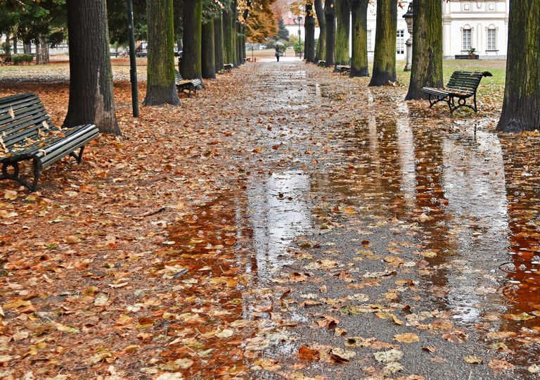 Autunno nel parco della tesoriera di Torino Autunno nel parco della tesoriera di Torino