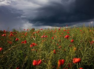 Maltempo nel fine settimana dell'11 e 12 maggio: i dettagli