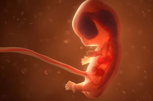 Mam&aacute; siempre contigo, millones de sus c&eacute;lulas persisten en ti: celebra esta conexi&oacute;n biol&oacute;gica este D&iacute;a de la Madre
