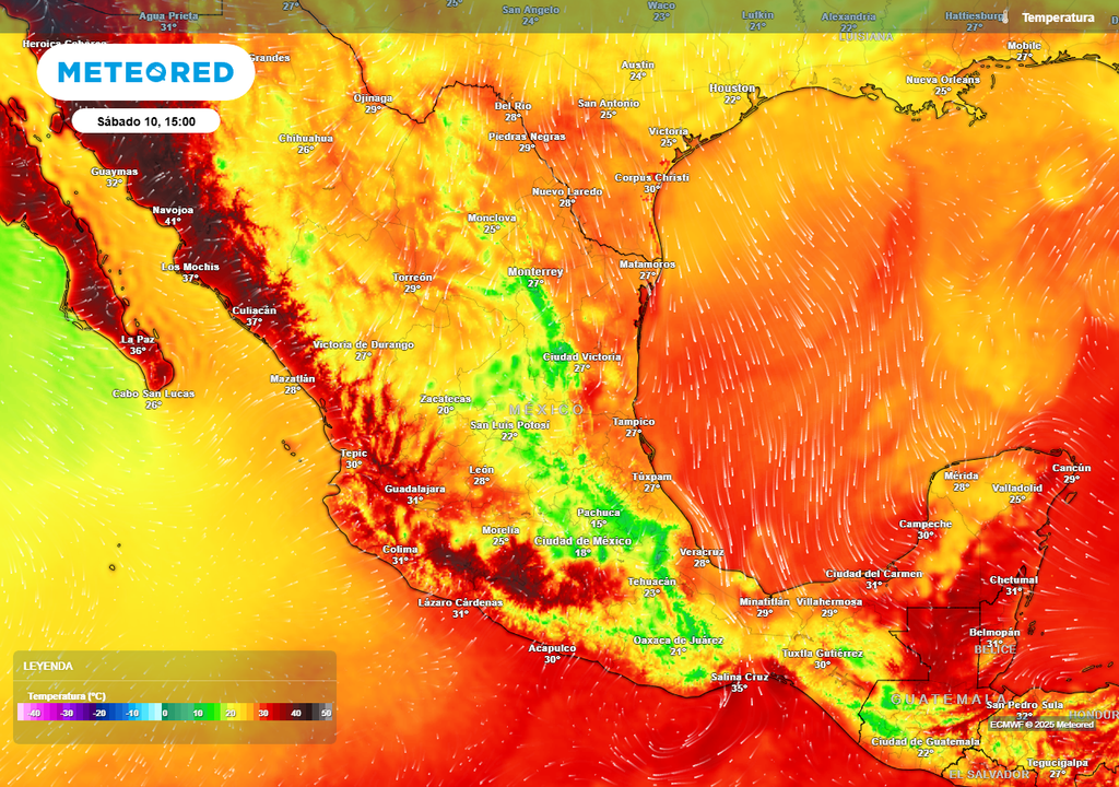Pronóstico de temperaturas en grados Celsius
