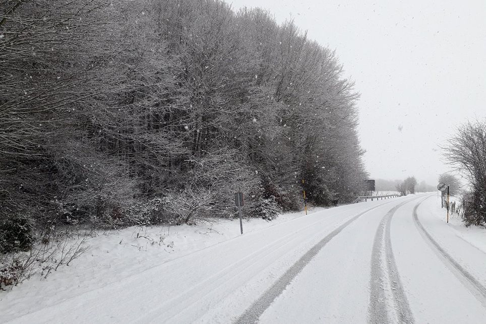 nieve nieve