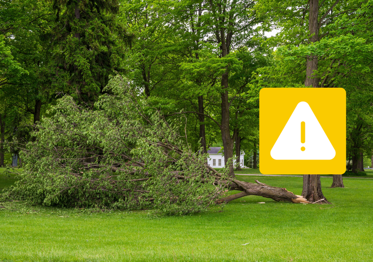 Ma&ntilde;ana habr&aacute; vientos fuertes en Castilla y Le&oacute;n: recomendaciones para los vecinos de Burgos, Zamora y Salamanca