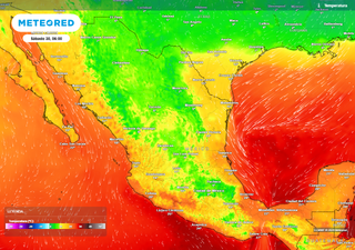 Mañana impactará el frente frío 12 y su masa de aire provocará temperaturas inferiores a -5 °C, nieblas y fuerte viento