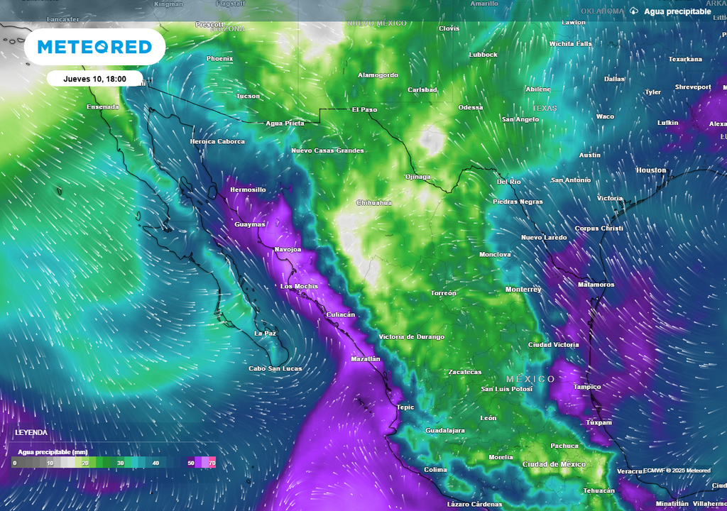 Monzón mexicano: lluvias benéficas en el desierto del noroeste Monzón mexicano: lluvias benéficas en el desierto del noroeste