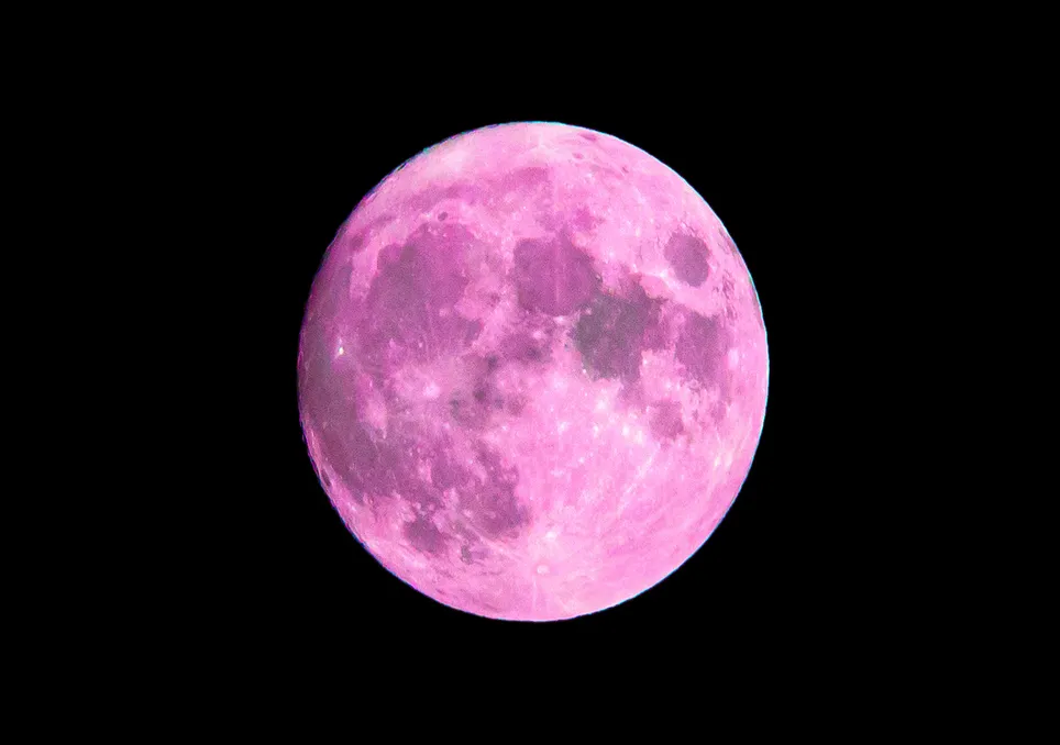 Pink Moon.