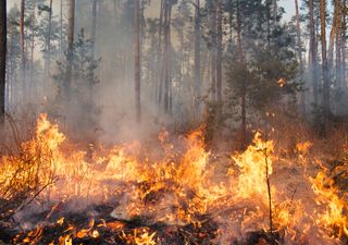 Mañana volverá el riesgo extremo de incendios a España, como en verano
