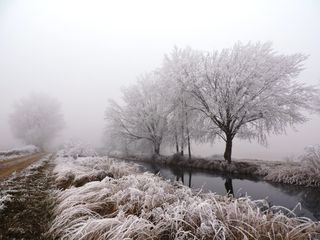 Mañana y el domingo el hielo matinal 'petrificará' estas zonas de la España peninsular incluso con nieblas engelantes