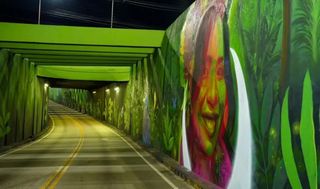 Manaus transforma viadutos em galerias de arte com murais inspirados na cultura amaz&ocirc;nica