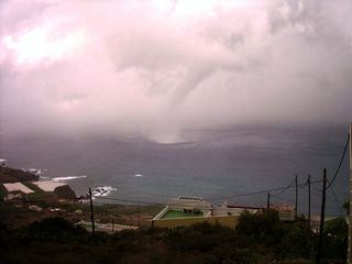 Manga marina en aguas Canarias