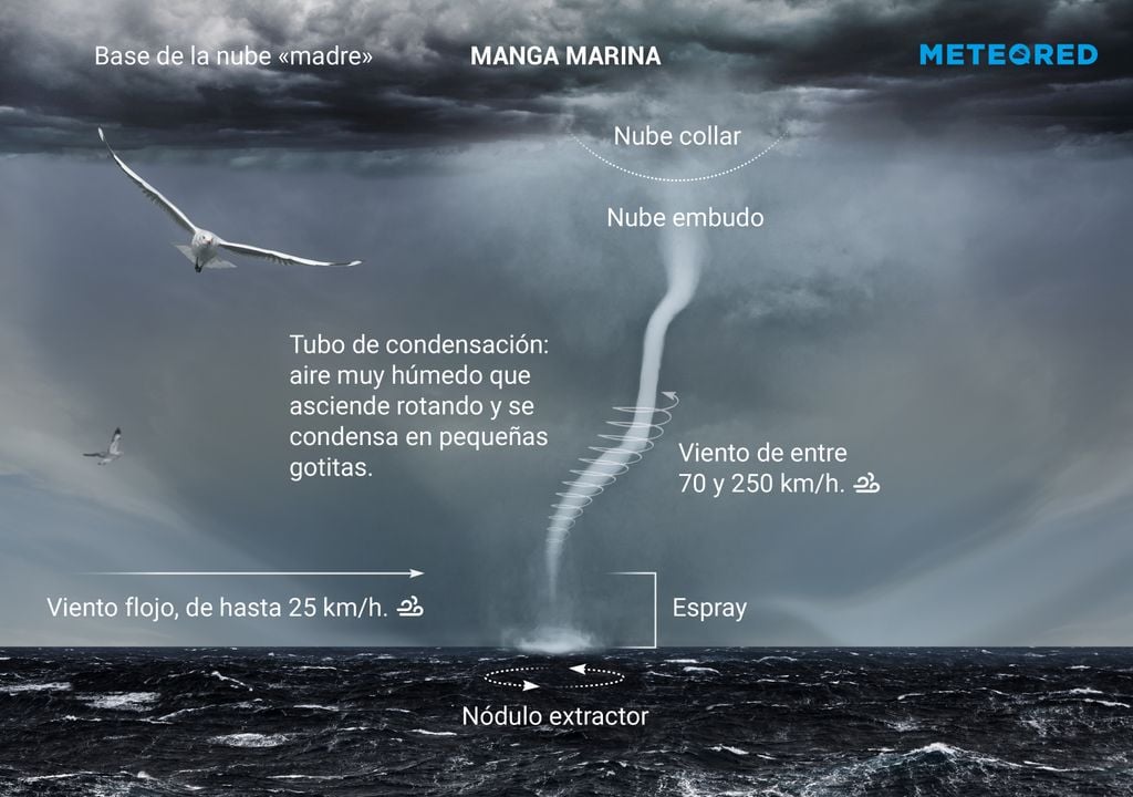Manga o tromba marina Manga o tromba marina
