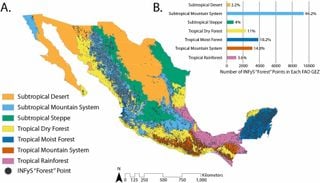 Un grupo de investigadores desarrollan y actualizan un mapa de la extensión de los bosques de México
