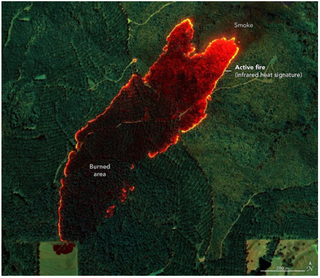 Los mapas de incendios forestales ayudan a los bomberos en la lucha contra ellos en tiempo real