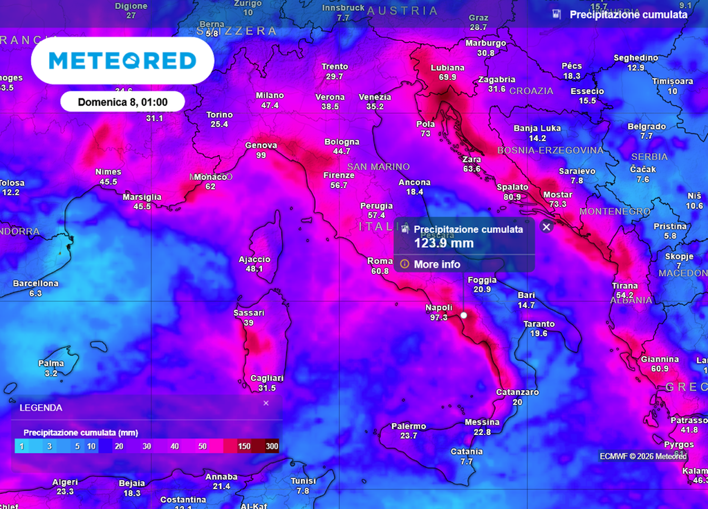 Piogge cumulate previste dal 2 all'8 febbraio 2026 sull'Italia. In toni violacei le aree dove cadranno oltre 100 mm di pioggia.