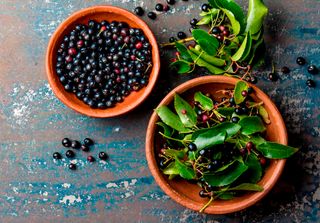 Maqui: el superalimento chileno con poder antioxidante y propiedades medicinales