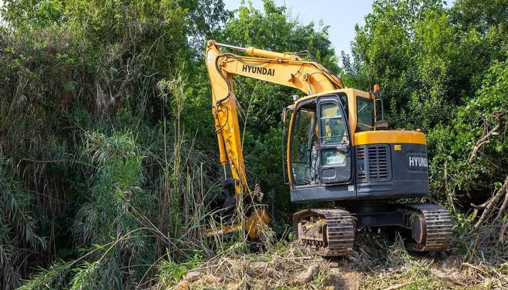 As operações de limpeza e regularização das margens do Roda, em Moura, vão prolongar-se até outubro. Foto: Município de Moura