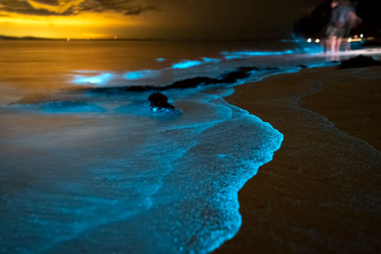 Mer D Ardora Des Vagues Bleues Et Blanches Qui Clignotent La Nuit Mer D Ardora Des Vagues Bleues Et Blanches Qui Clignotent La Nuit