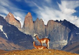 Maravillas de la naturaleza: conoce algunas de las Reservas de la Biosfera a lo largo de Chile