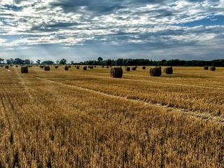 Março de 2019: Sul mais seco e Centro-Norte chuvoso?