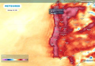 Março terminará com nevoeiro, geada e temperaturas até 25 ºC em Portugal. (Mas já há data para o regresso da chuva)
