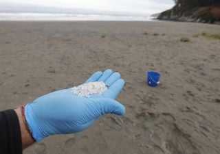 Marea de pellets en Galicia, Asturias y Cantabria: qué son y cuánto contaminan las costas