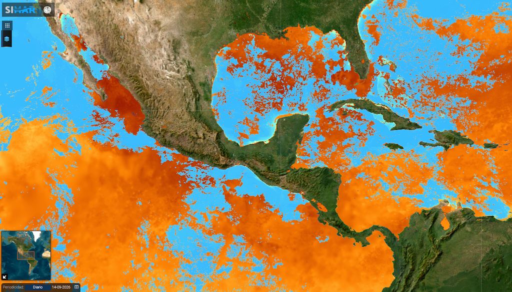 Sistema satelital de alerta temprana de florecimientos de fitoplancton (SATfit). Fuente: Conabio // SIMAR.